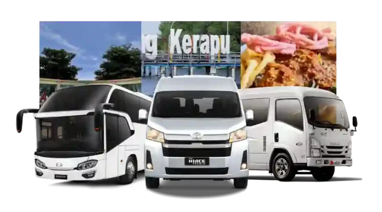 Sewa Bus Situbondo Pariwisata Murah Mini & Medium Bus Harga Mulai 700K